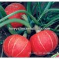 Planting Chinese High Quality Short Vine Red Pumpkin Seeds-High Yield Good Flavor Good Market Feedback Who Grow Who Become Rich